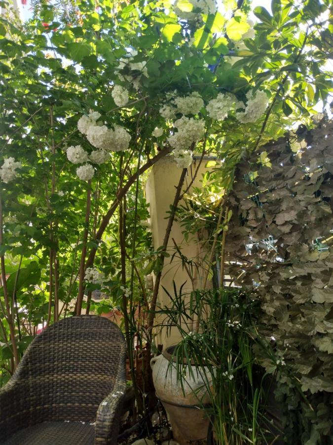 My Sunny Low Home Патри Екстер'єр фото